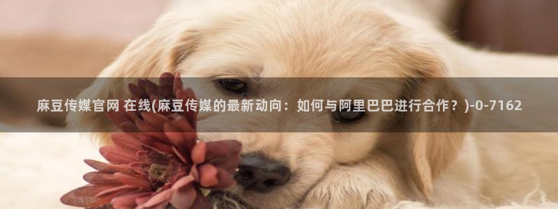 麻豆视频 下载整理：麻豆传媒官网 在线(麻豆传媒的最新动向：如何与阿里巴巴进行合作？)
