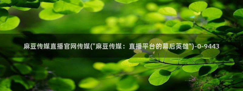 麻豆 合集视频：麻豆传媒直播官网传媒(\