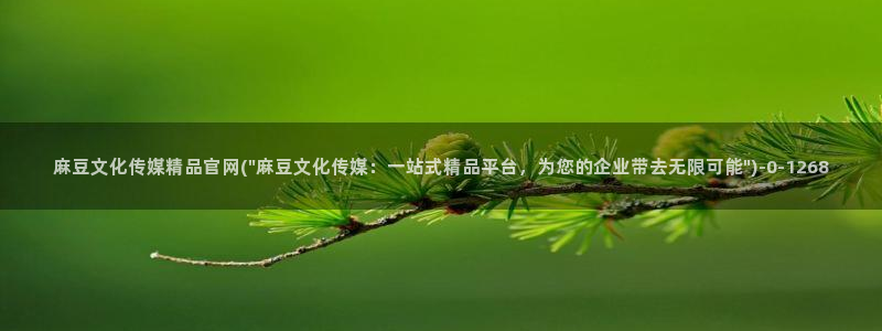 麻豆官方入口：麻豆文化传媒精品官网(\
