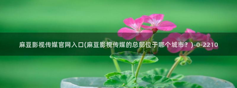 麻豆视频精选高清：麻豆影视传媒官网入口(麻豆影视