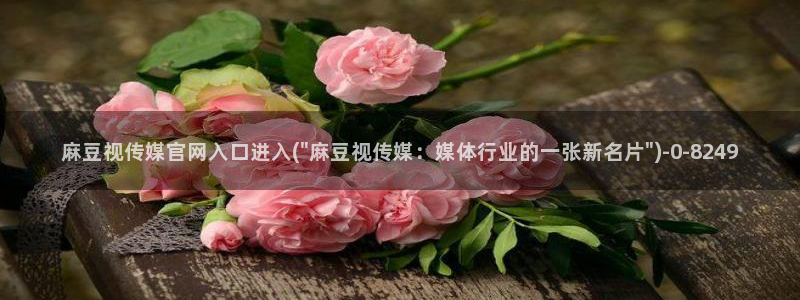 麻豆视频 合集高清：麻豆视传媒官网入口进入(\