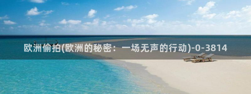 成人自偷自拍：欧洲偷拍(欧洲的秘密：一场无声的行动)