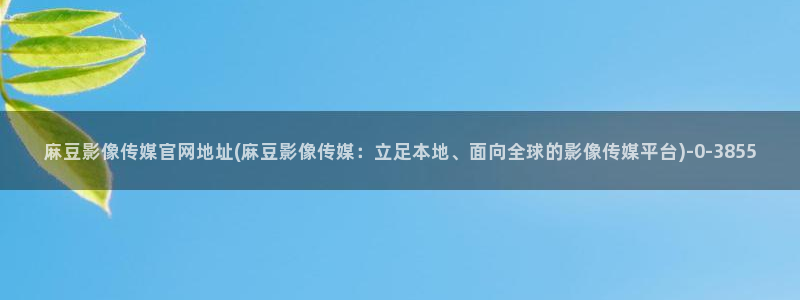 麻豆视频 整理：麻豆影像传媒官网地址(麻豆影像传媒：立足本地、面向全球的影像传媒平台)