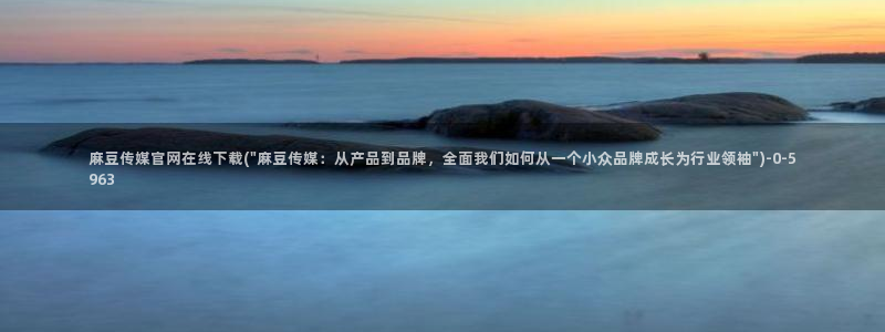 麻豆 资源导航