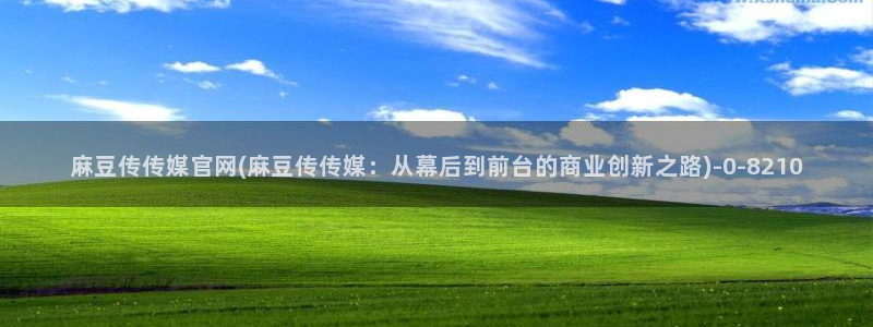 麻豆视频专区在线看