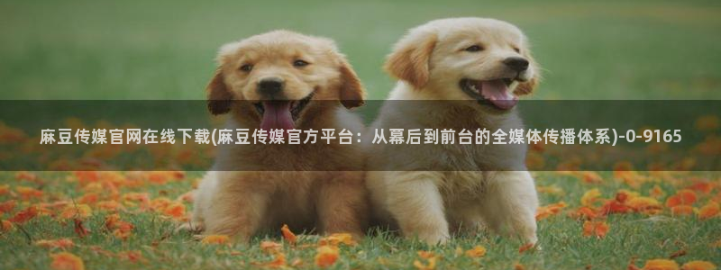 麻豆视频图集在线看