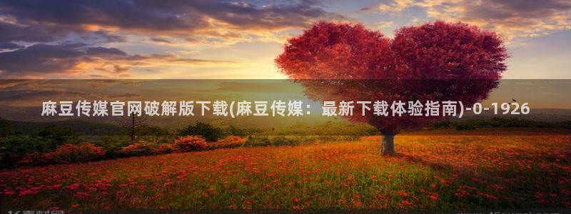 麻豆完整版在线看：麻豆传媒官网破解版下载(麻豆传媒：最新下载体验指南)