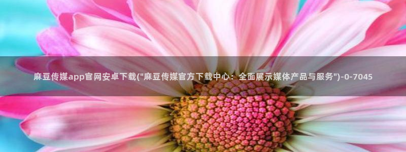 麻豆视频专区在线看