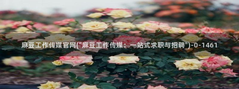 麻豆视频图集专区