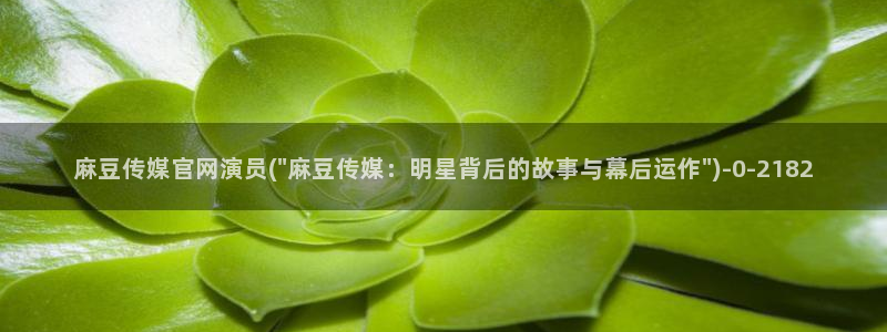 麻豆 资源推荐：麻豆传媒官网演员(\