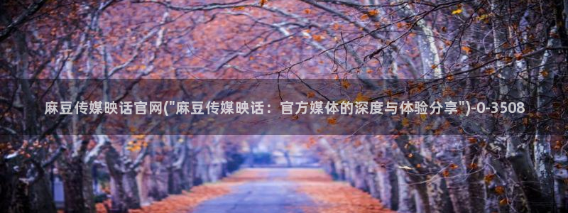 麻豆视频站导航