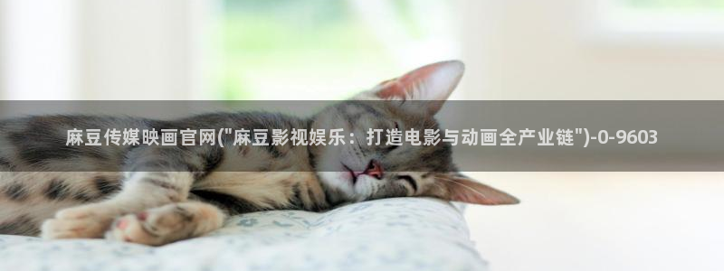 麻豆视频 站页面：麻豆传媒映画官网(\