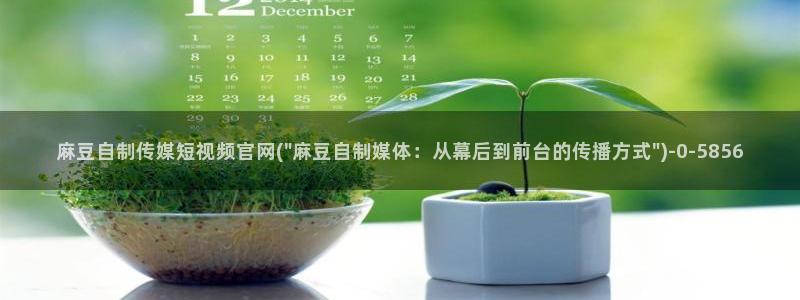 麻豆视频 入口下载