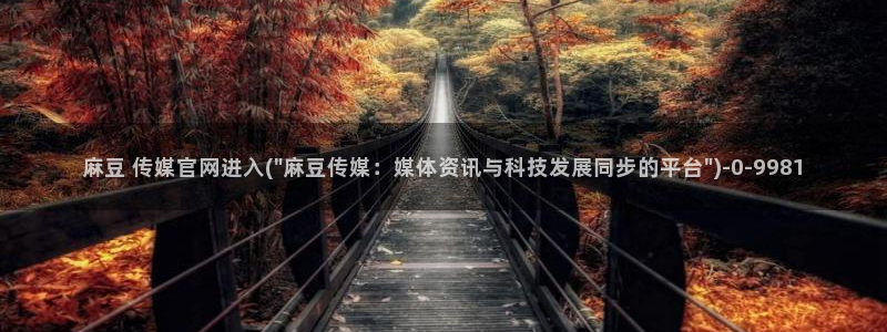麻豆资源高清：麻豆 传媒官网进入(\