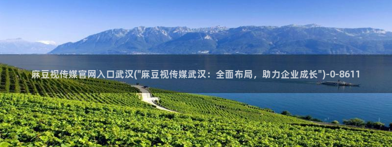 麻豆视频合集高清