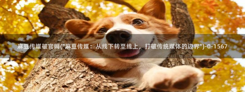 麻豆 下载入口：麻豆传媒破官网(\