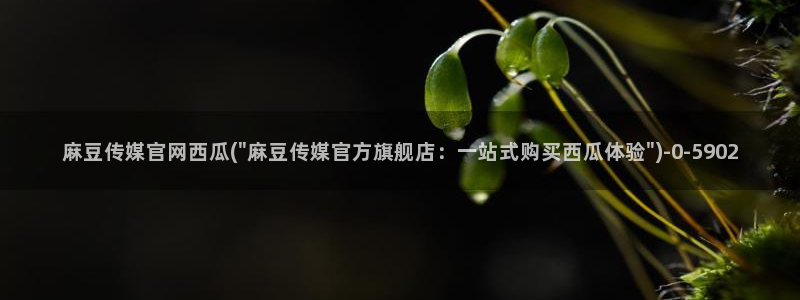 麻豆官方更新