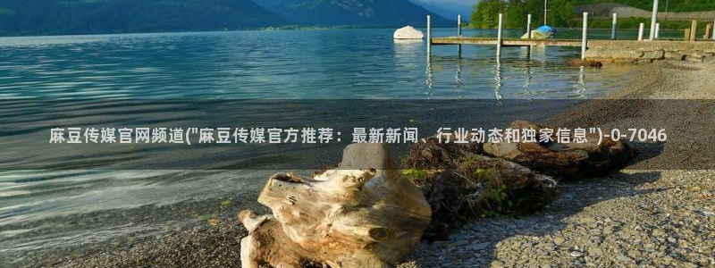 麻豆视频推荐更新：麻豆传媒官网频道(\
