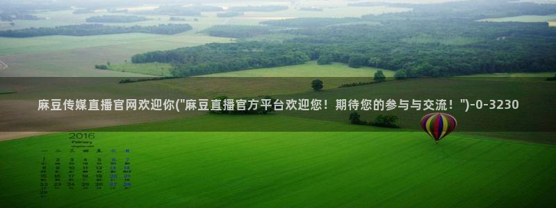 麻豆完整版导航